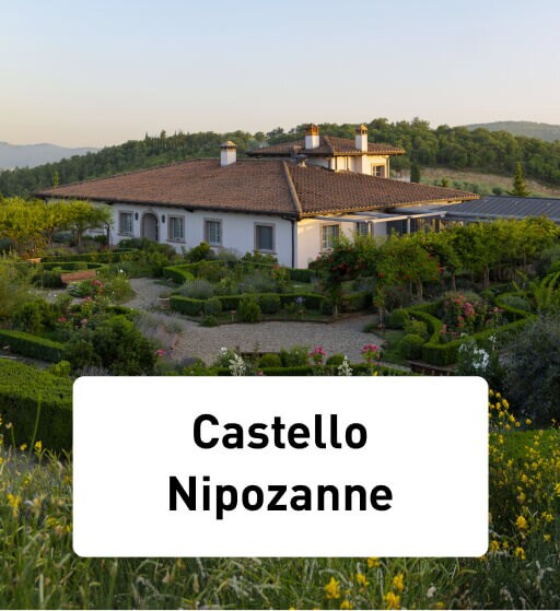 Castello Nipozanne - plaatje van het wijnhuis op de bergen tussen wijngaarden